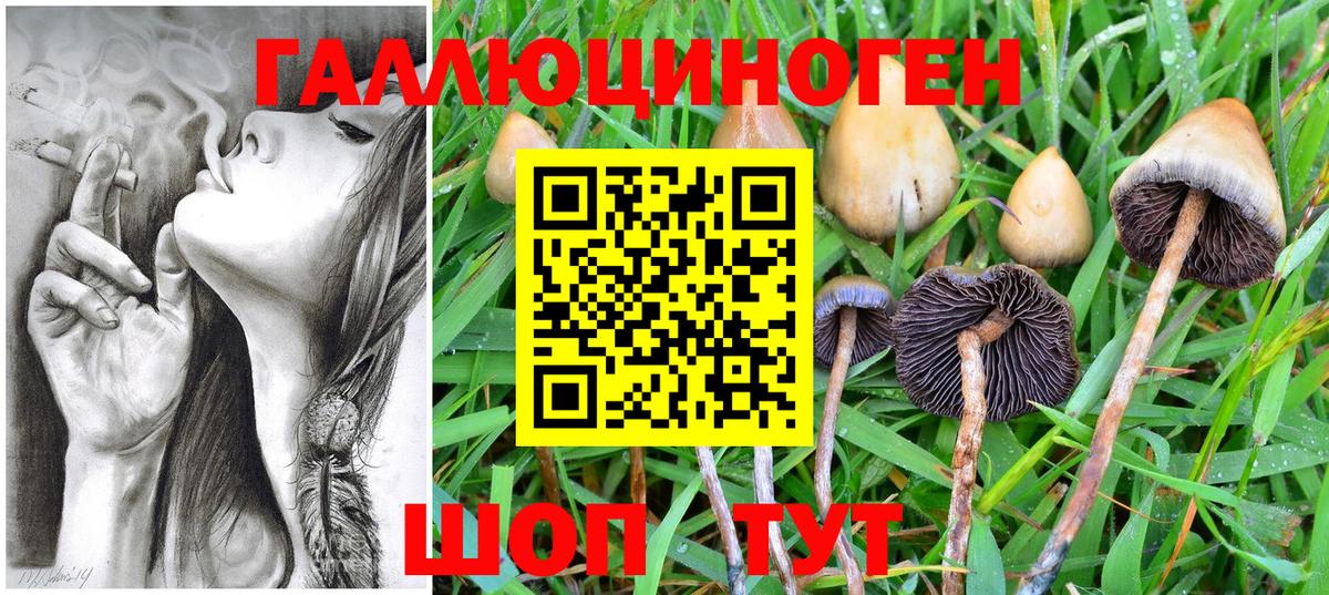 Вышний Волочёк  дарнет шоп  Вход с VPN  Галлюциногенные грибы прущие грибы 